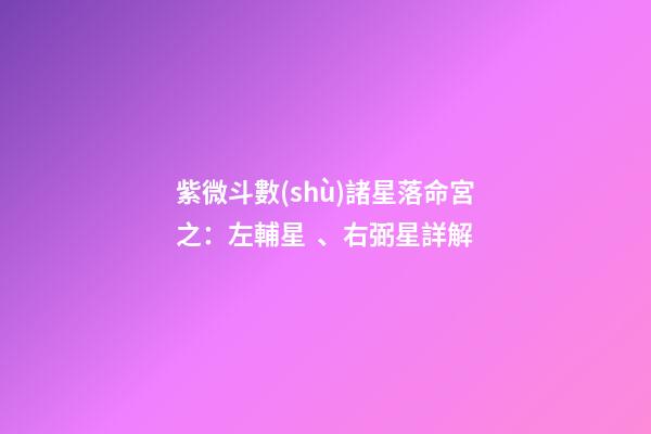 紫微斗數(shù)諸星落命宮之：左輔星、右弼星詳解